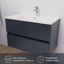 Meuble Vasque|Cuisibane Meuble salle de bain suspendu 80 cm ROSALY- Gris- Plan vasque en Céramique