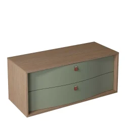Meuble Buanderie|Decotec Meuble sous vasque suspendu vert fougère mat 2 tiroirs l.120 x H.50 x P.50 cm, Havana