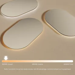 Artforma Miroir avec LED Illumination Salle de Bain (50x80cm) LED Lumineux Miroir avec Éclairage (TST106) Blanc Chaud 3000K