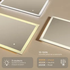 Miroir Lumineux|Artforma Miroir de salle de bain lumineux - - Forme arrondie - 120x70cm - LED Dual + Interrupteur tactile