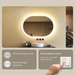 Miroir Lumineux|Artforma Miroir de salle de bain lumineux - - Ovale - 100x70cm - LED Dual + interrupteur tactile + anti-buée