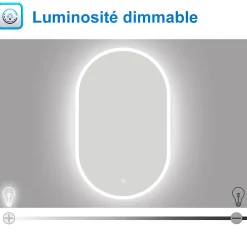 Miroir Lumineux|AICA Sanitaire Miroir de salle de bain ovale 50x90cm, mémoire + dimmable, IP44, 6000K blanc froid,