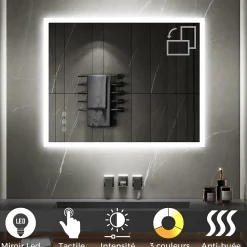 Miroir Lumineux|Saniverre Miroir LED lumineux TEMEO 80 x 100 cm (ou 100x80) antibuée + intensité 2100 lms & couleur réglables salle de bain -