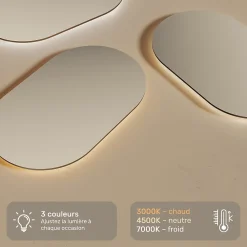 Artforma Miroir LED Salle de Bain - - Ovale - 100x70cm - LED Dual + interrupteur tactile + anti-buée