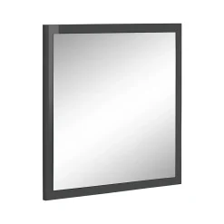 Dmora Miroir Lelia, Miroir de salle de bain, 100% Made in Italy, 60x2h60 cm, Anthracite Brillant