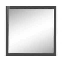 Dmora Miroir Lelia, Miroir de salle de bain, 100% Made in Italy, 60x2h60 cm, Anthracite Brillant