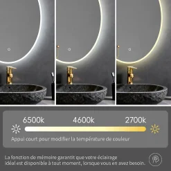 Saniland Miroir ovale LED 50x70 cm lumière dimmable 2700 6000 K, zone anti-buée et minuterie 60 min