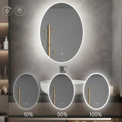 Saniland Miroir ovale LED 50x70 cm lumière dimmable 2700 6000 K, zone anti-buée et minuterie 60 min