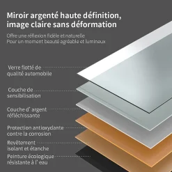 Saniland Miroir ovale LED 50x70 cm lumière dimmable 2700 6000 K, zone anti-buée et minuterie 60 min