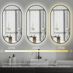 Saniland Miroir rectangle arrondi 50x100 cm lumière d'ambiance LED 2700 à 6000 K anti-buée cadre aluminium noir
