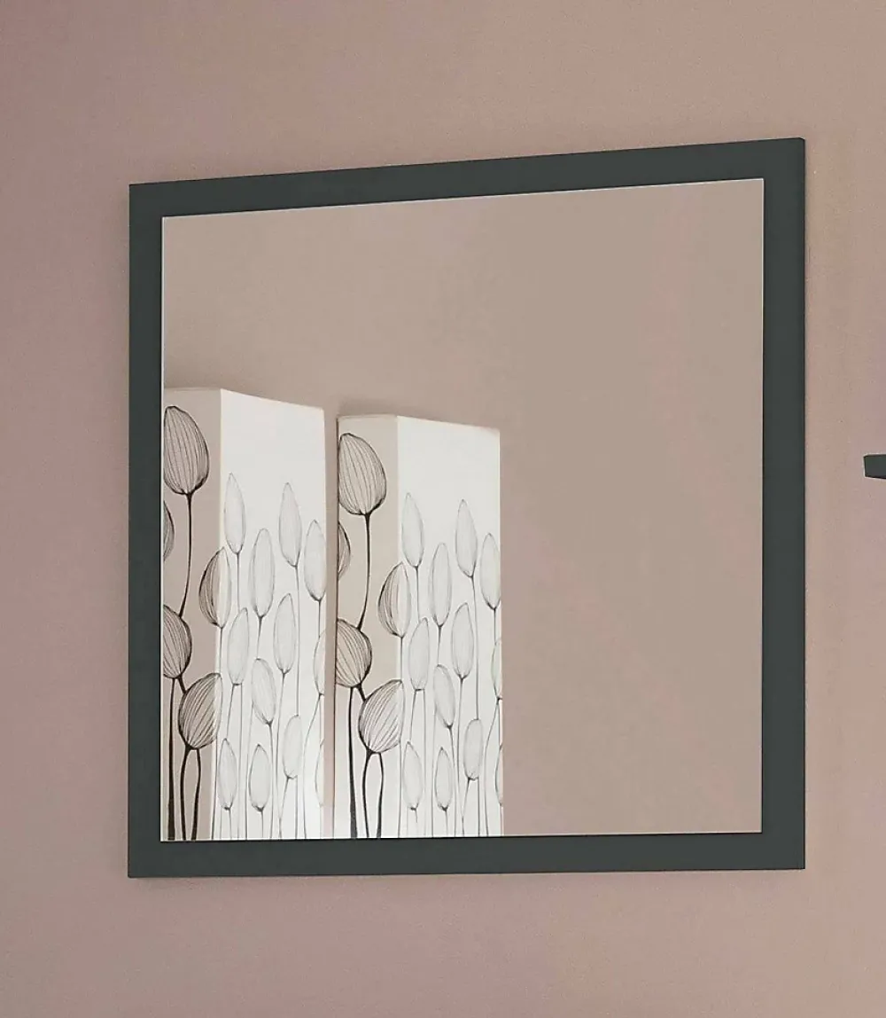 Miroir Simple|Dmora Miroir Rino, Miroir de salle de bain, 100% Made in Italy, 60x2h60 cm, Anthracite Brillant
