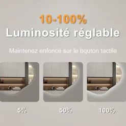 Miroir Lumineux|AICA Sanitaire Miroir salle de bain asymétrique 80 x 55 cm LED Éclairage réglable en 3 couleurs + anti-buée + fonction mémoire