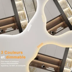 Miroir Lumineux|AICA Sanitaire Miroir salle de bain asymétrique 90 x 68 cm LED Éclairage réglable en 3 couleurs + anti-buée + fonction mémoire