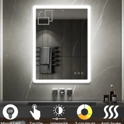 Saniverre Miroir salle de bain BOLEO 60 x 80 cm LED lumineux 2100 lms anti-buée + réglage intensité & couleur -