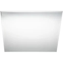 Miroir salle de bains rectangulaire 70X60 cm Wapta argent
