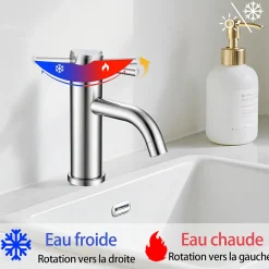 AICA Sanitaire Mitigeur acier inoxydable 304, pour cuisine/salle de bain/lavabo/toilettes invités, avec tuyau, eau chaude/froide, argent