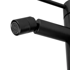 Robinet De Bidet|GoodHome Mitigeur de bidet monotrou avec mousseur orientable, noir mat, Owens