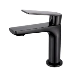 Robinet De Bidet|Poalgi Mitigeur de bidet SKY BATH noir cristal PVD série GLORY