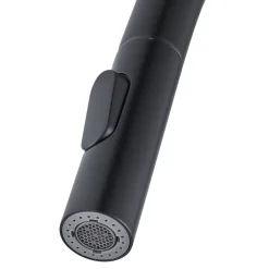 GoodHome Mitigeur de cuisine avec douchette noir Zanthe