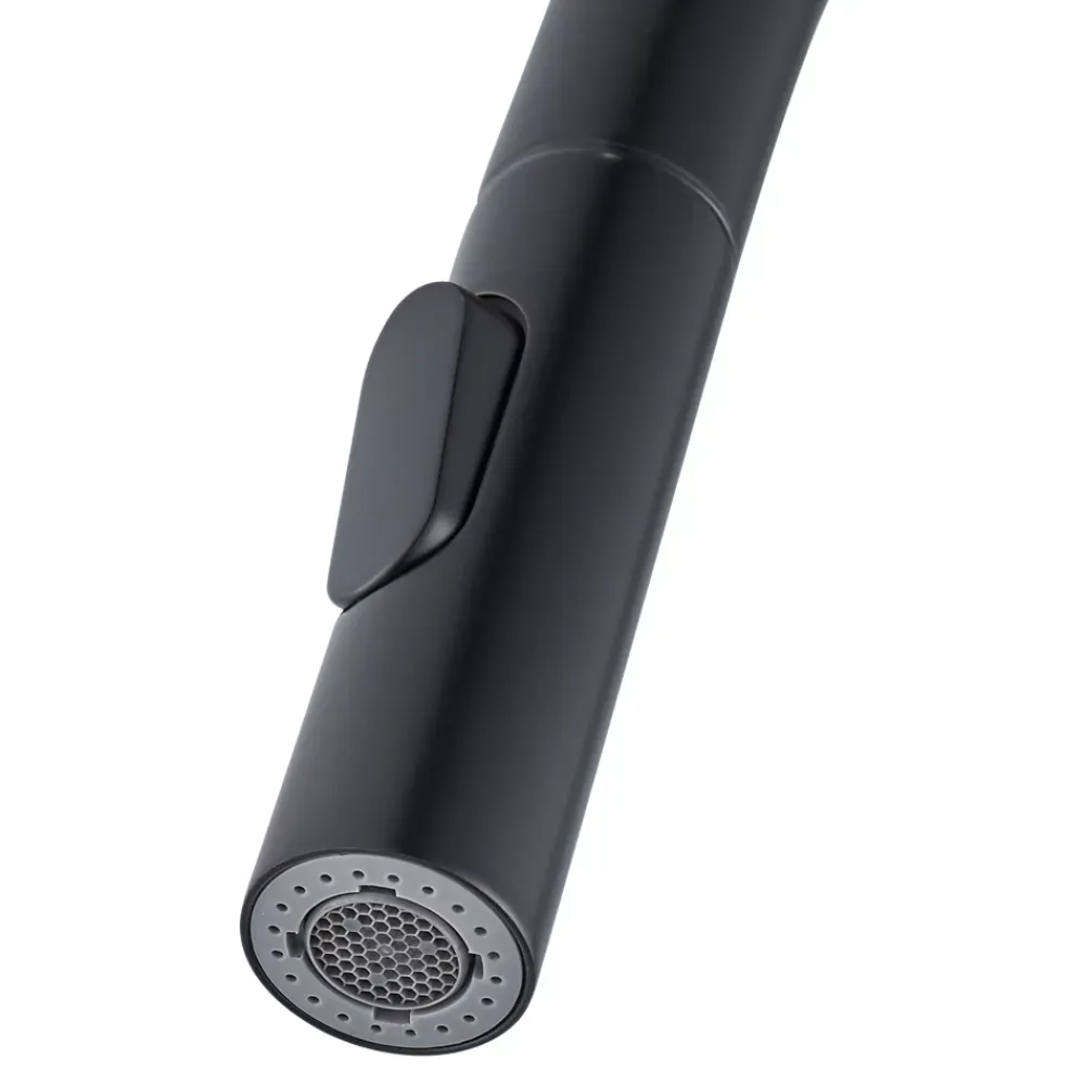 GoodHome Mitigeur de cuisine avec douchette noir Zanthe