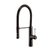 GoodHome Mitigeur de cuisine avec douchette noir Gevuina