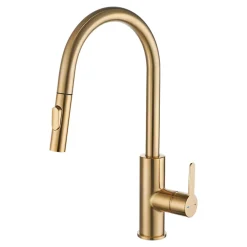 Evier Et Robinet De Buanderie|GoodHome Mitigeur de cuisine doré avec douchette Zanthe