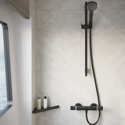 Robinet De Douche|Hansgrohe Mitigeur de douche thermostatique noir Ecostat E