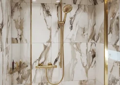 Hansgrohe Mitigeur de douche thermostatique doré poli, Ecostat Comfort