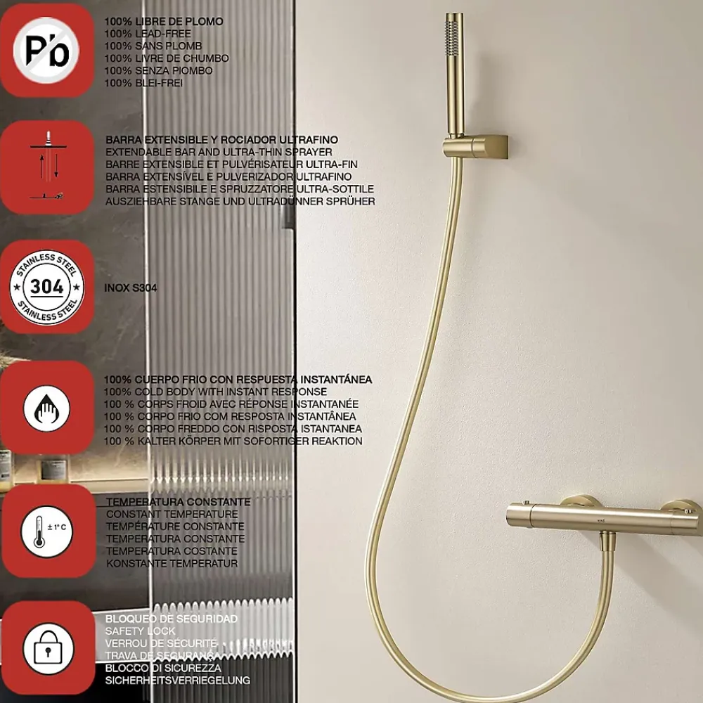 Poalgi Mitigeur de douche thermostatique avec douchette SKY BATH or brossé Inox S304 série SUPREME