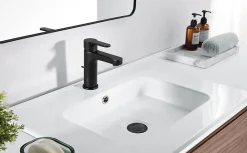 Cecipa Max Mitigeur de lavabo avec Tirette de Vidage, Bonde Incluse, Auralum Max Robinet Salle de Bain Noir Robinetterie en Laiton