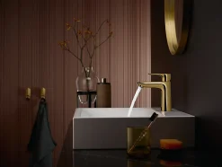 Robinet Lavabo Et Vasque|Hansgrohe Mitigeur de lavabo avec tirette et vidage effet doré poli, Talis E 110 EcoSmart