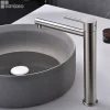 Robinet Lavabo Et Vasque|Imex Mitigeur de Lavabo Bec Haut en Acier Inoxydable Intérieur / Extérieur MOSCU BDK034-3