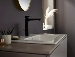 Hansgrohe Mitigeur de lavabo haut noir mat Vernis Blend 190