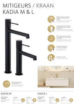 Schulte Mitigeur De Lavabo Kadia M - Noir Mat