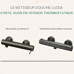 Essebagno Mitigeur douche mécanique gun métal Luisa