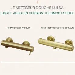 Essebagno Mitigeur douche mécanique or brossé Luisa