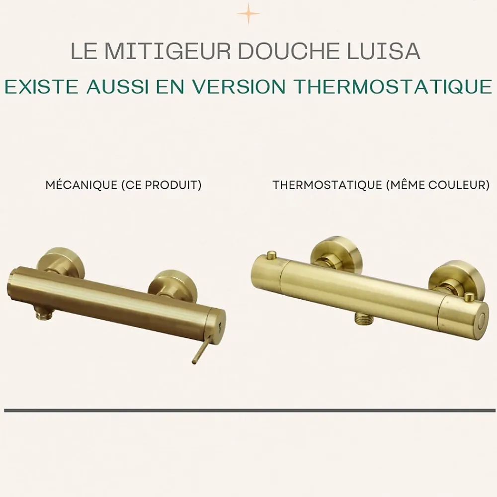 Essebagno Mitigeur douche mécanique or brossé Luisa