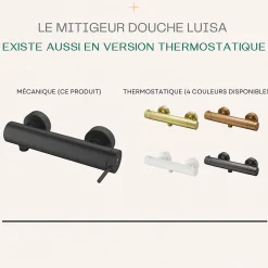 Essebagno Mitigeur douche mécanique noir Luisa