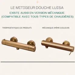 Essebagno Mitigeur douche thermostatique cuivre brossé Luisa