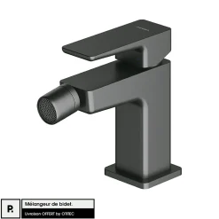 Robinet De Bidet|Otitec Mélangeur de bidet - Graphite - PARMA