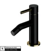 Otitec Mélangeur de bidet - Noir & Or - Y