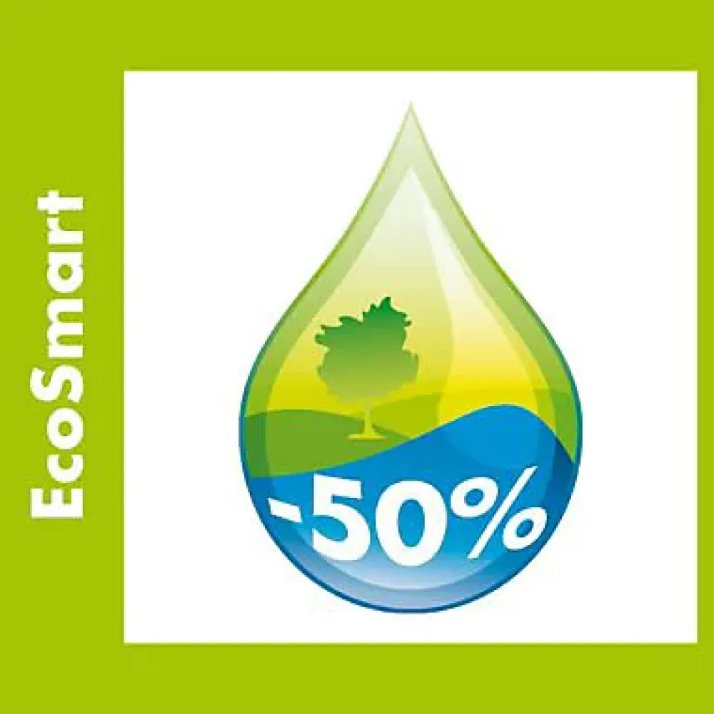 Accessoire De Robinet|Hansgrohe Mousseur Ecosmart Femelle 22 x 100 lot de 2