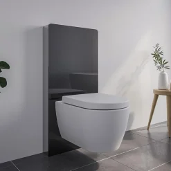 Bernstein Pack complet WC suspendu Blanc 36x55x33cm (LxPxH) + Module sanitaire Noir 48x11x100xm (LxPxH) - Garantie 5 ans