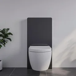 Bernstein Pack complet WC suspendu Blanc 36x55x33cm (LxPxH) + Module sanitaire Noir 48x11x100xm (LxPxH) - Garantie 5 ans