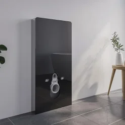 Bernstein Pack complet WC suspendu Blanc 36x55x33cm (LxPxH) + Module sanitaire Noir 48x11x100xm (LxPxH) - Garantie 5 ans