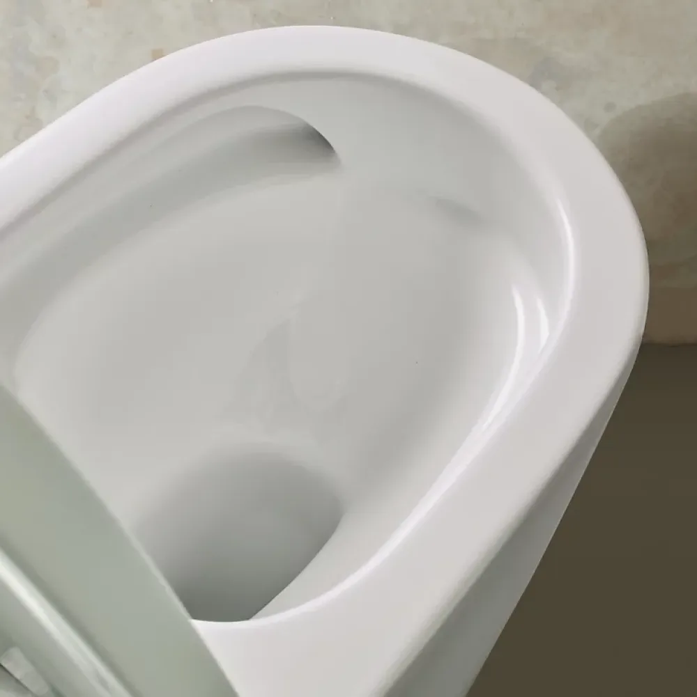 Wc À Poser|Planète Bain Pack wc à poser caréné sans bride vortex sortie horizontale vario Vicky