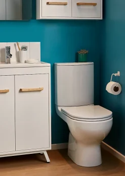 Wc À Poser|GoodHome Pack WC à poser sans bride avec sortie verticale Cavally