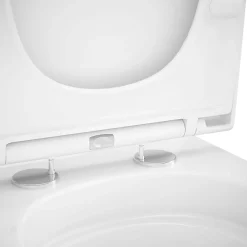 GoodHome Pack WC à poser sans bride vortex avec abattant déclipsable et frein de chute, sortie horizontale, Teesta