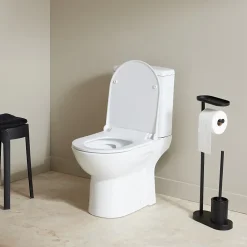 Planète Bain Pack wc à poser sans bride sortie verticale / vario - FRIENDLY