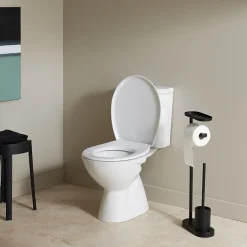 Planète Bain Pack WC à poser sortie verticale avec bride - Vertigo